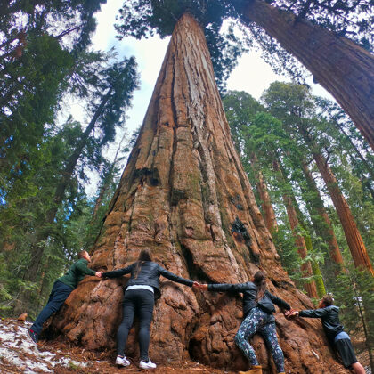Sequoia National Park