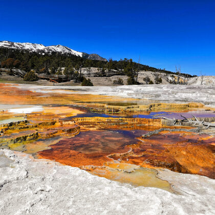 Yellowstone National Park