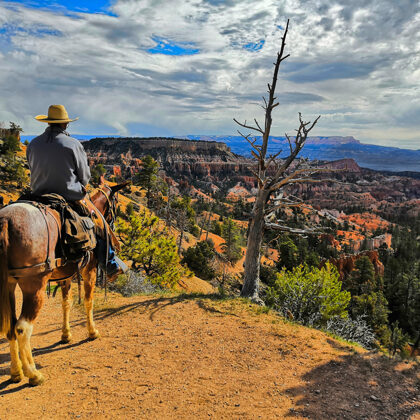 Bryce Canyon National Park