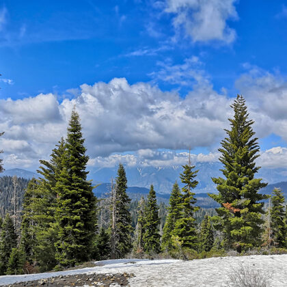 Sequoia National Park