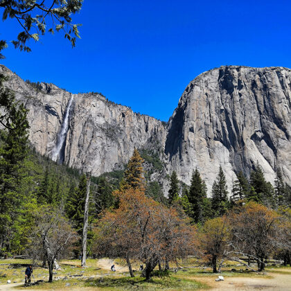 Yosemite National Park