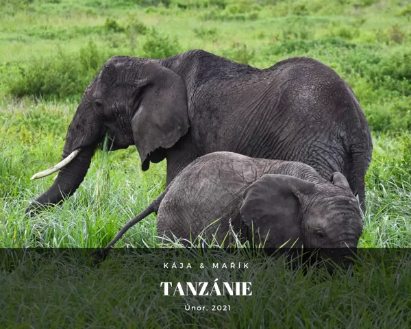 Tanzánie