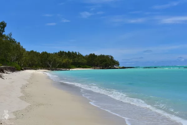 Ile aux Cerfs