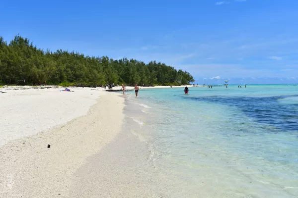 Ile aux Cerfs