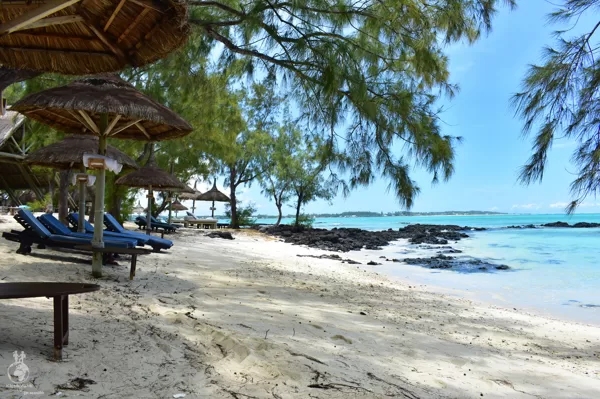 Ile aux Cerfs