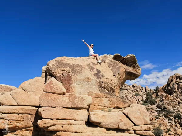 Joshua Tree National Park