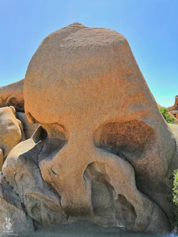 Joshua Tree National Park