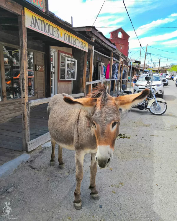 Oatman