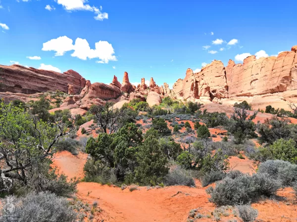 Arches National Park