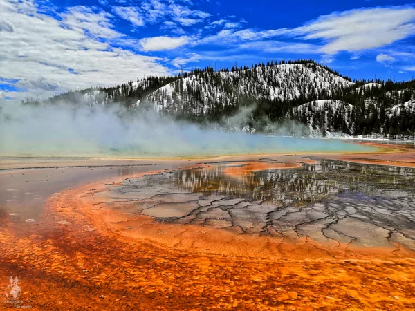 Grand Prismatic Spring v Yellowstone National Park