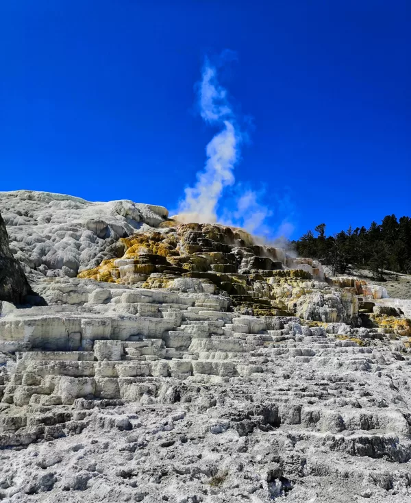 Mammoth Hot Springs v Yellowstone National Park