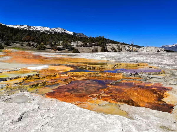 Yellowstone National Park