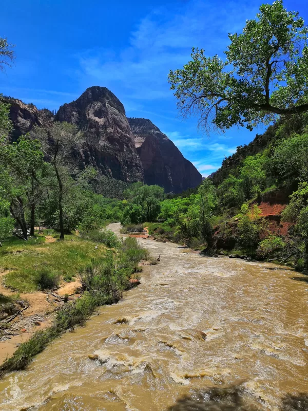 Zion National Park