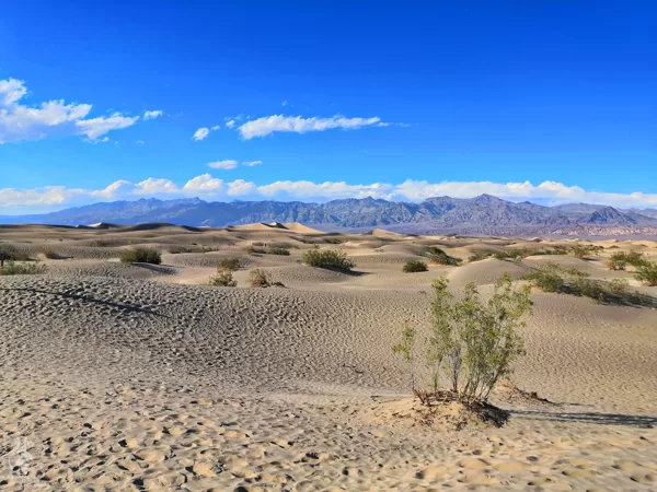 Mesquite Flat Sand Dunes