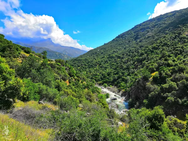 Seqouia National Park