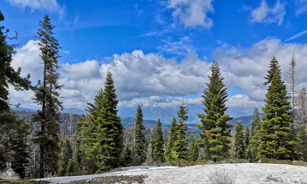 Sequoia National Park