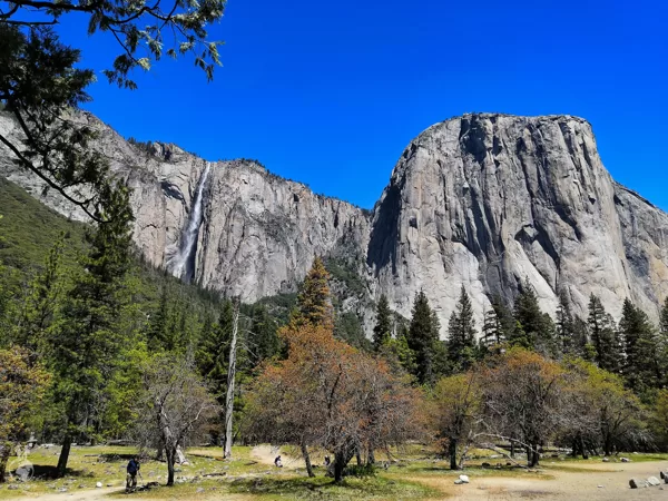Yosemite National Park