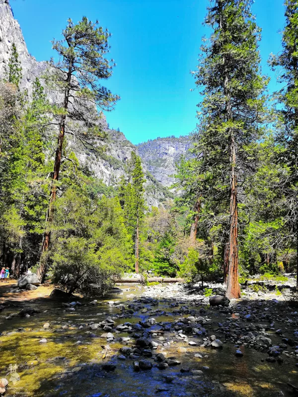 Yosemite National Park