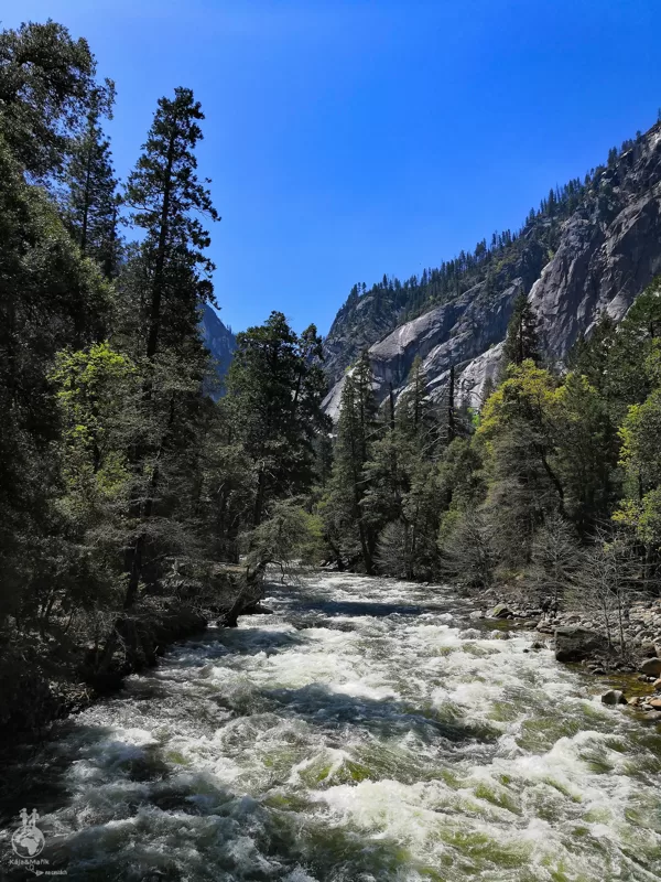 Yosemite National Park