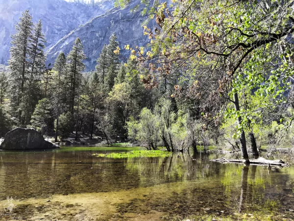 Mirror Lake v Yosemite National Park