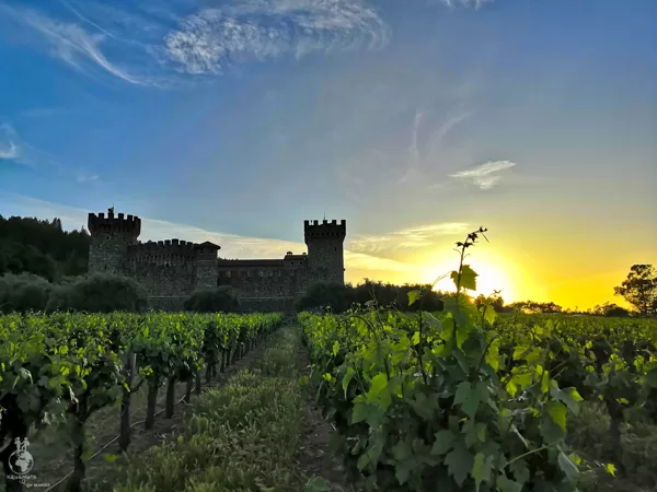 Castello di Amorosa v Napa Valley