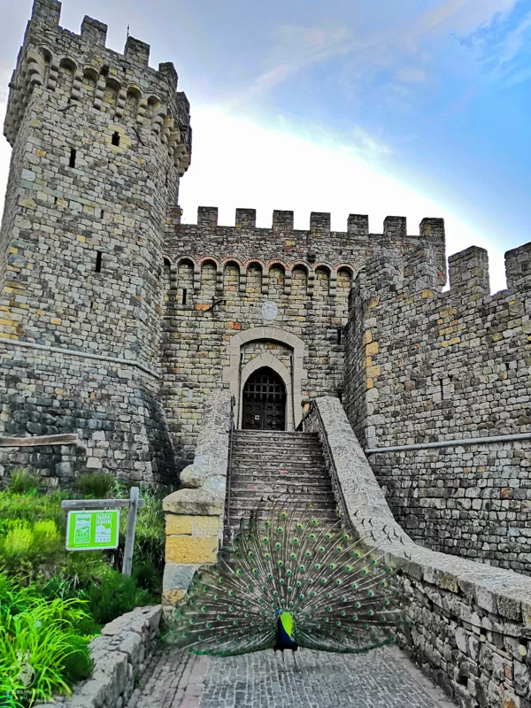 Castello di Amorosa v Napa Valley