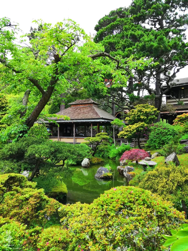 Japanese Tea Garden, San Francisco