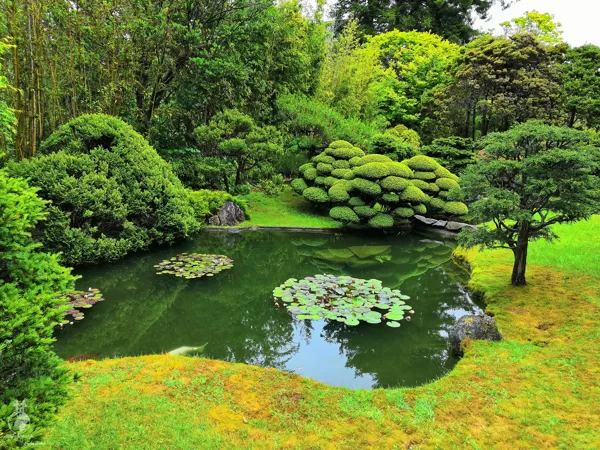 Japanese Tea Garden, San Francisco