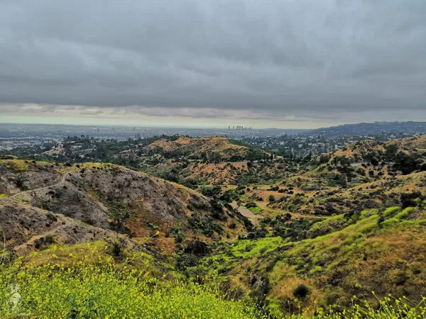 Los Angeles